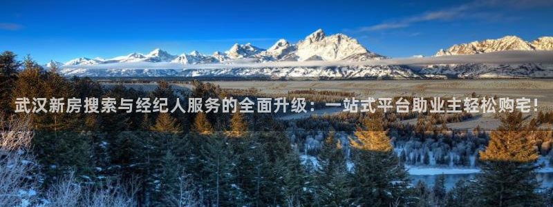 老新宝5授权登录：武汉新房搜索与经纪人服务的全面升级：一站式