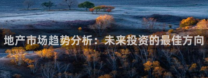 新宝6霸哥5：地产市场趋势分析：未来投资的最佳方向
