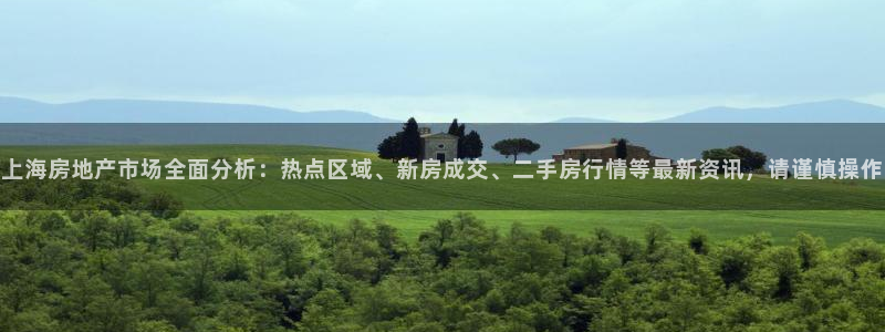 新宝5登陆：上海房地产市场全面分析：热点区域、新房成交、二手