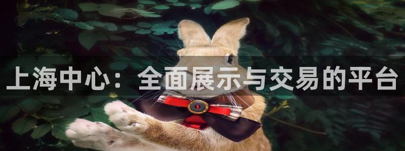 新宝5娱乐代理：上海中心：全面展示与交易的平台