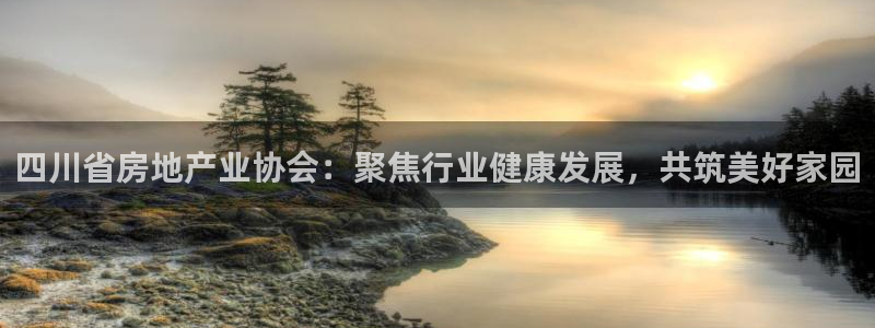 新宝5现在还能玩吗：四川省房地产业协会：聚焦行业健康发展，共