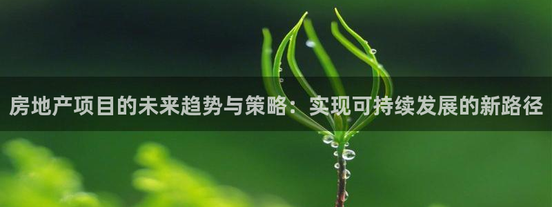 新宝集团新宝5：房地产项目的未来趋势与策略：实现可持续发展的