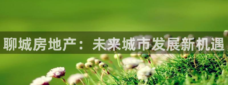新宝5娱乐都：聊城房地产：未来城市发展新机遇