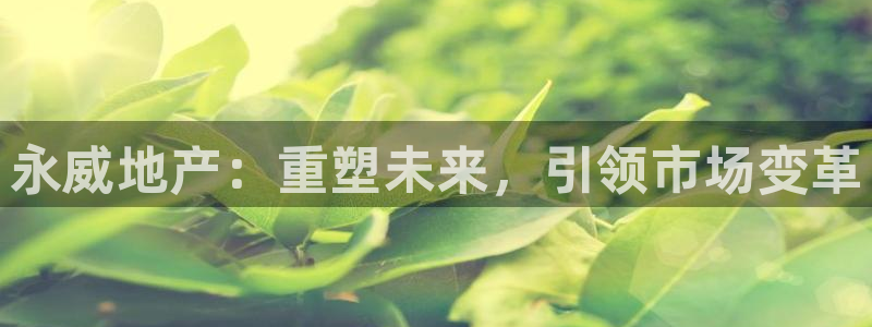 新宝5账号注册：永威地产：重塑未来，引领市场变革