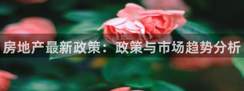 新宝5源码：房地产最新政策：政策与市场趋势分析