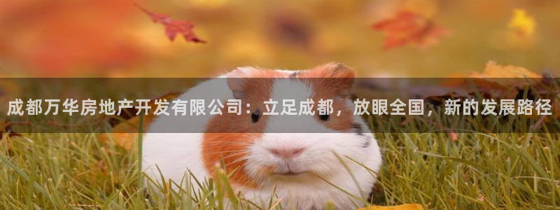 新宝5黑彩：成都万华房地产开发有限公司：立足成都，放眼全国，