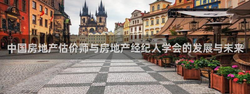新宝5线路：中国房地产估价师与房地产经纪人学会的发展与未来