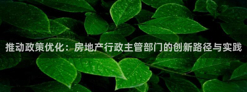 新宝5 代理：推动政策优化：房地产行政主管部门的创新路径与实