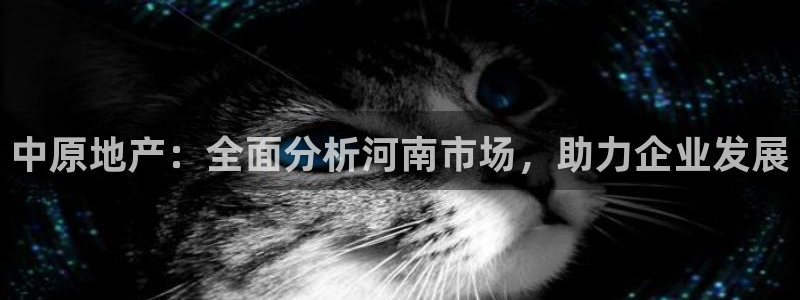 新宝5注册流程：中原地产：全面分析河南市场，助力企业发展