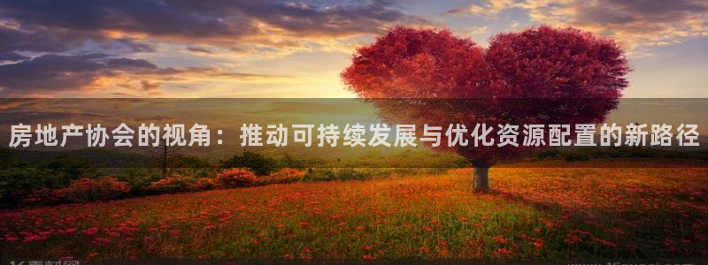 新宝5总代：房地产协会的视角：推动可持续发展与优化资源配置的