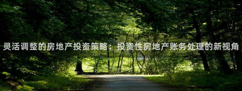 新宝5平台注册资金：灵活调整的房地产投资策略：投资性房地产账