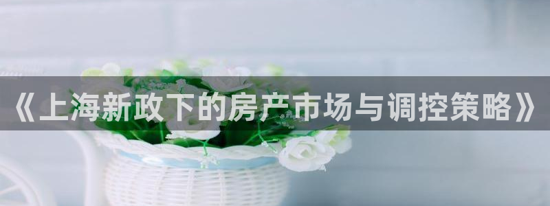 新宝b2O5O5O：《上海新政下的房产市场与调控策略》
