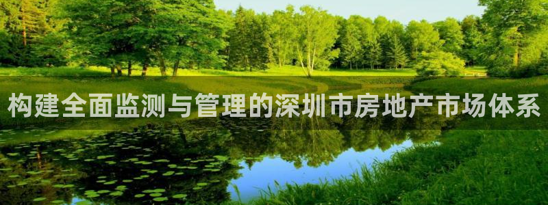 新宝5娱乐平台：构建全面监测与管理的深圳市房地产市场体系