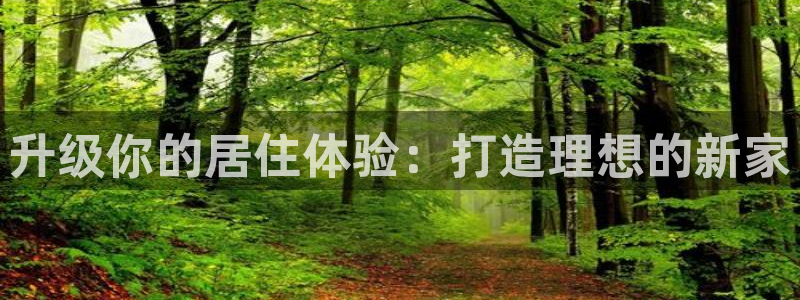 新宝5源码：升级你的居住体验：打造理想的新家