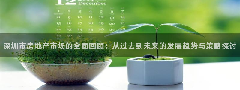 新宝3得74OO5：深圳市房地产市场的全面回顾：从过去到未来