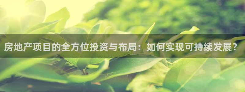 有人知道新宝5么：房地产项目的全方位投资与布局：如何实现可持