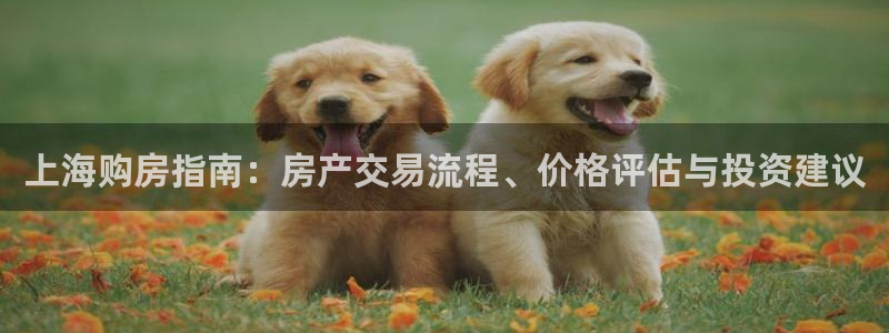 新宝5网：上海购房指南：房产交易流程、价格评估与投资建议
