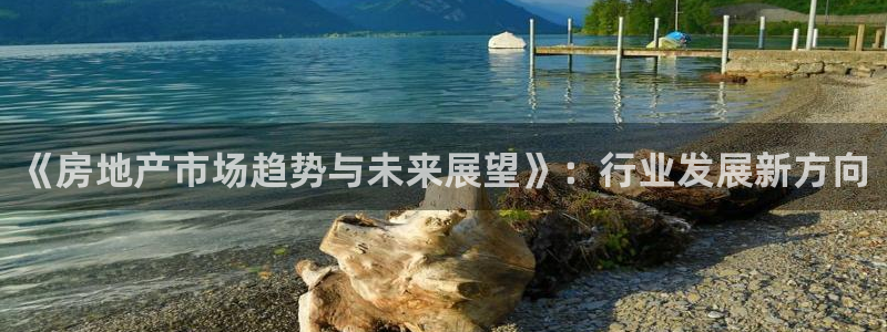 新宝5彩票平台登陆：《房地产市场趋势与未来展望》：行业发展新