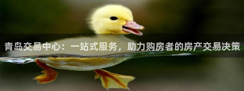 新宝5手机app：青岛交易中心：一站式服务，助力购房者的房产