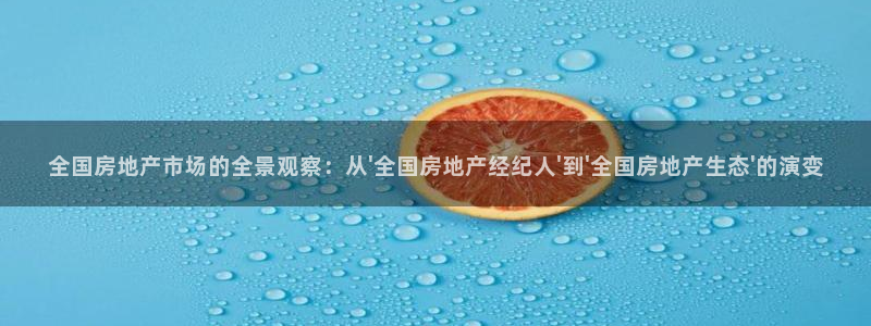 新宝5-：全国房地产市场的全景观察：从\'全国房地产经纪人\