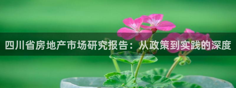新宝5球维33 300：四川省房地产市场研究报告：从政策到实