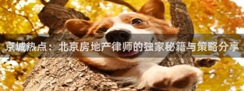 新宝5黑彩：京城热点：北京房地产律师的独家秘籍与策略分享