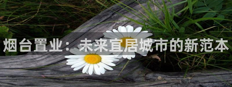 新宝5是什么样子的：烟台置业：未来宜居城市的新范本