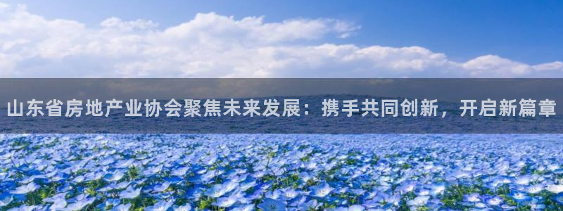 新宝5娱乐同