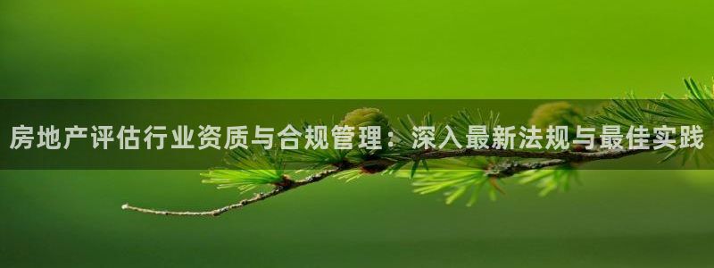 新宝5 测速：房地产评估行业资质与合规管理：深入最新法规与最