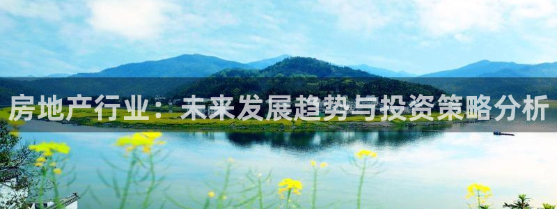 新宝5授权：房地产行业：未来发展趋势与投资策略分析